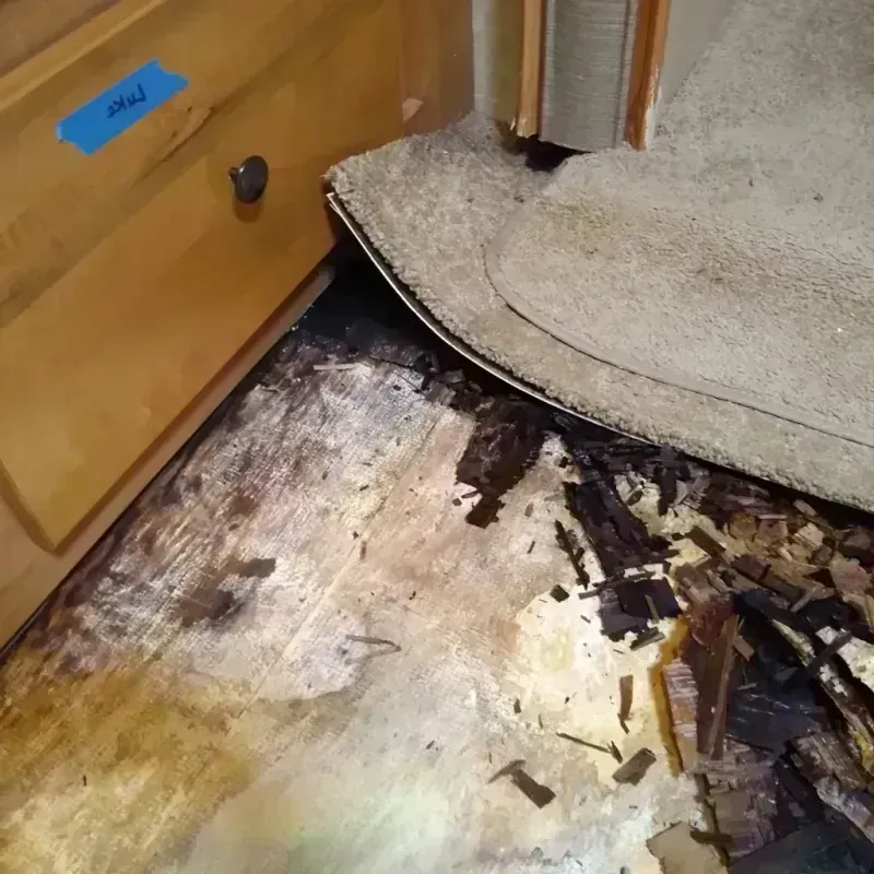 Best Wood Floor Water Damage Service in Steuben County, IN